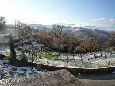 Winter
