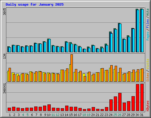 Daily usage for January 2025