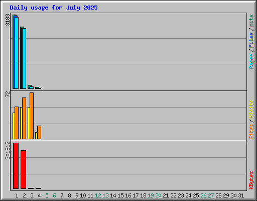Daily usage for July 2025