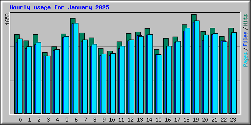 Hourly usage for January 2025