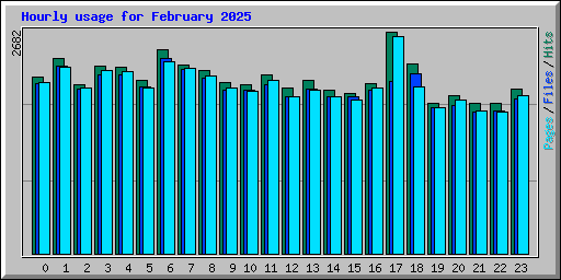 Hourly usage for February 2025