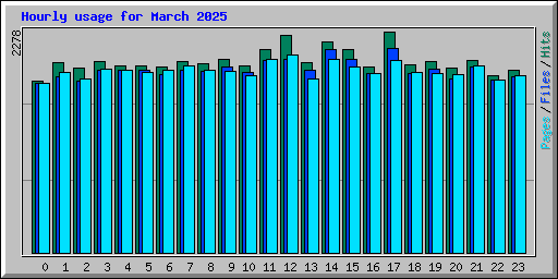 Hourly usage for March 2025
