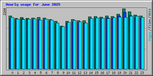 Hourly usage for June 2025